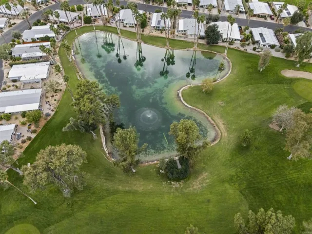 Lakeside homes and palms